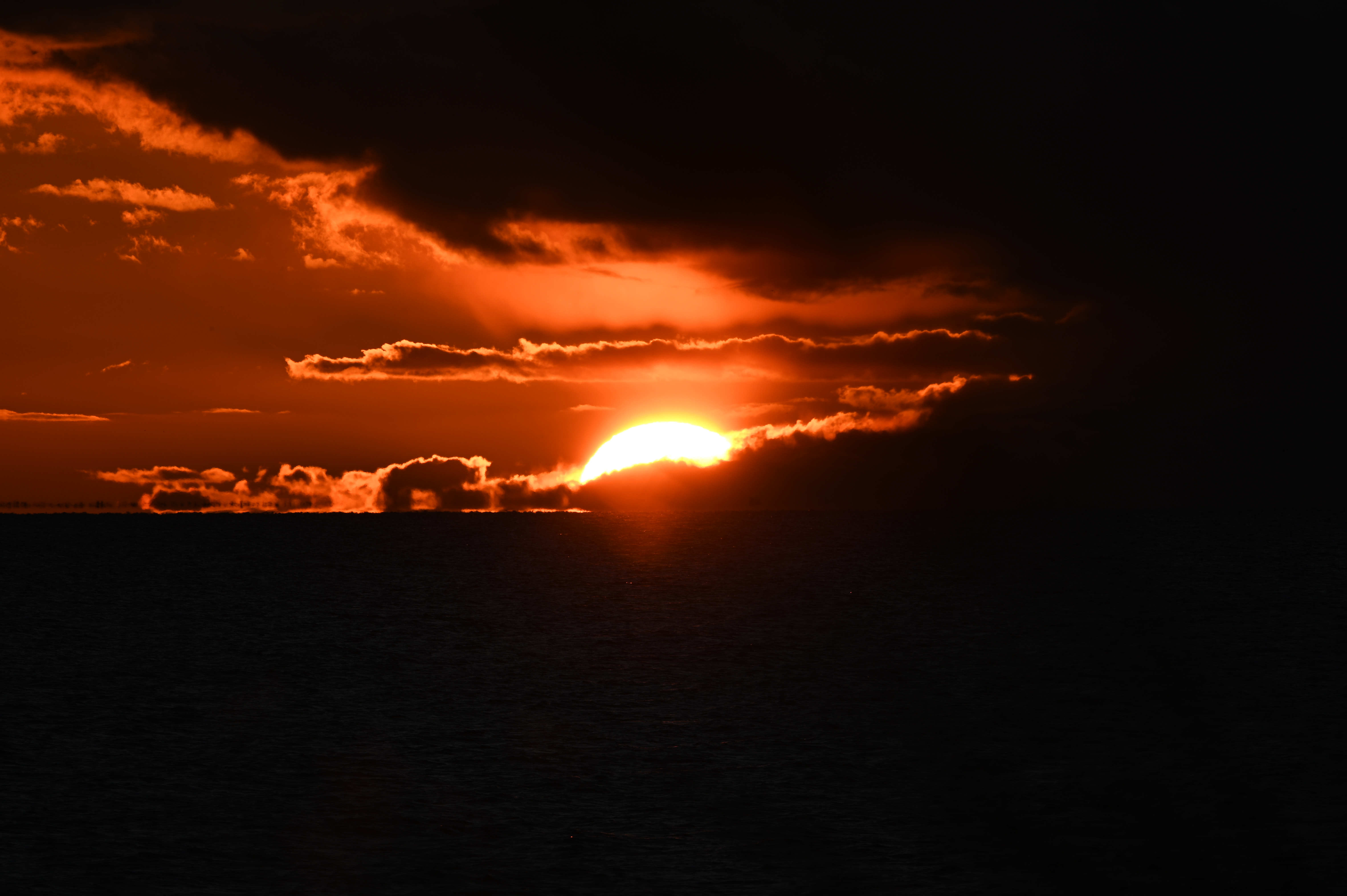 2025/10/18 - walk/DSC_0495.JPG